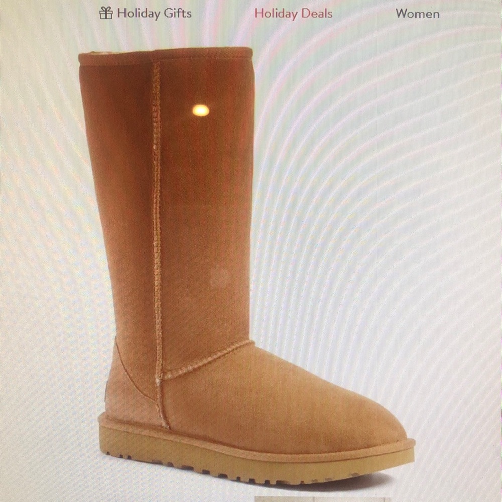 Ugg tall suede boot